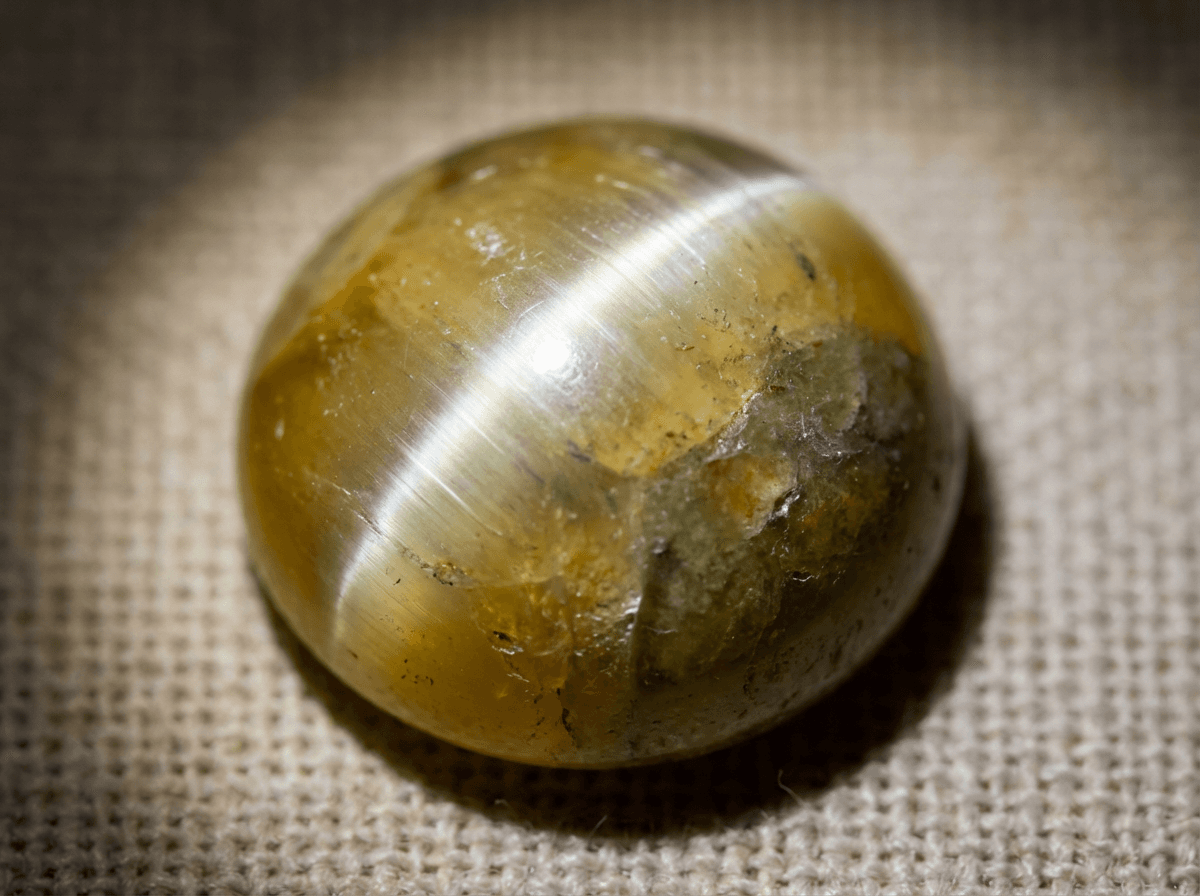 Cat's Eye (Lehsunia)